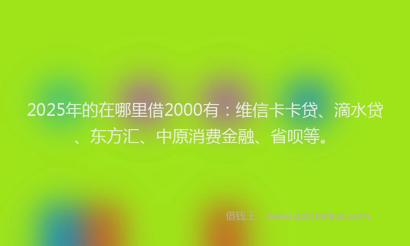 2025年的在哪里借2000有：维信卡卡贷、滴水贷、东方汇、中原消费金融、省呗等。