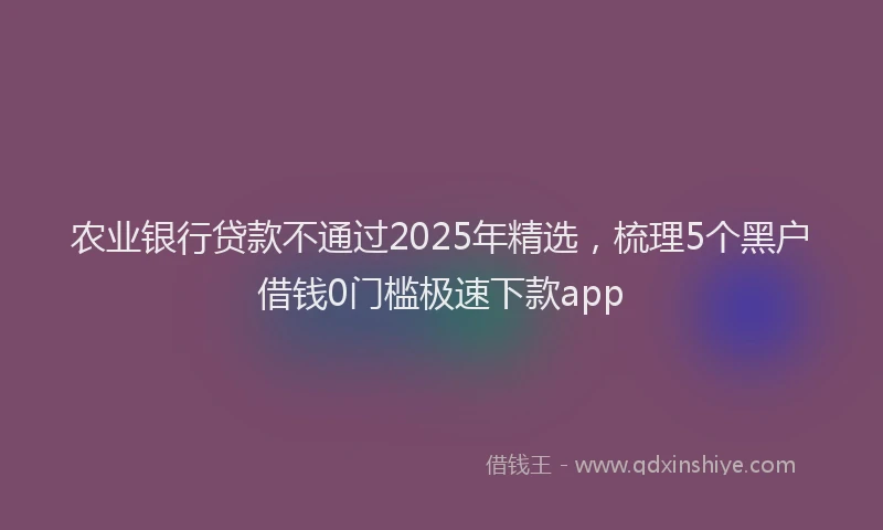 农业银行贷款不通过2025年精选，梳理5个黑户借钱0门槛极速下款app