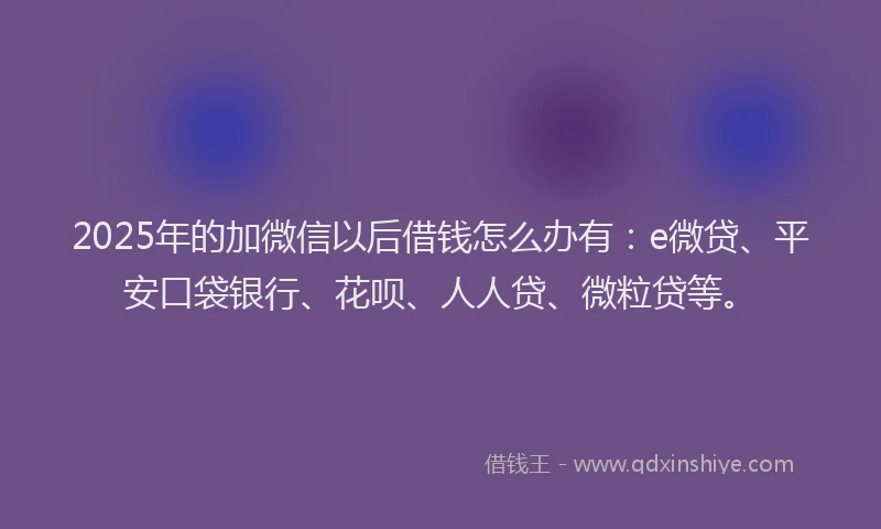2025年的加微信以后借钱怎么办有：e微贷、平安口袋银行、花呗、人人贷、微粒贷等。
