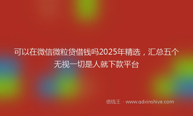 可以在微信微粒贷借钱吗2025年精选，汇总五个无视一切是人就下款平台