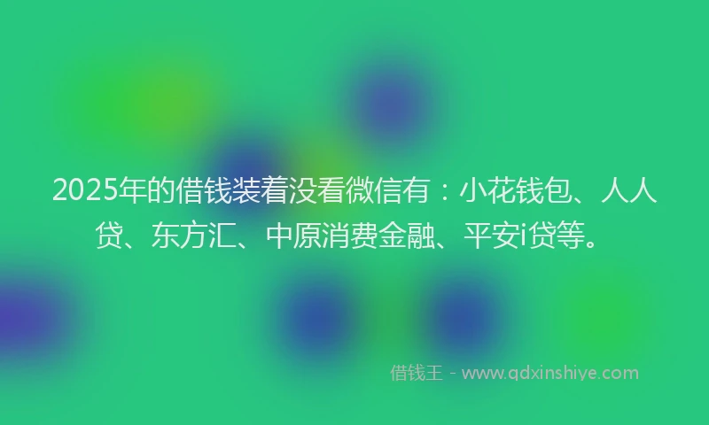 2025年的借钱装着没看微信有：小花钱包、人人贷、东方汇、中原消费金融、平安i贷等。