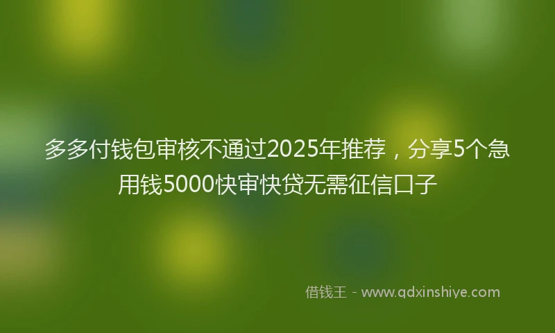 多多付钱包审核不通过2025年推荐，分享5个急用钱5000快审快贷无需征信口子