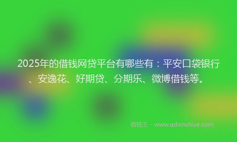 2025年的借钱网贷平台有哪些有：平安口袋银行、安逸花、好期贷、分期乐、微博借钱等。