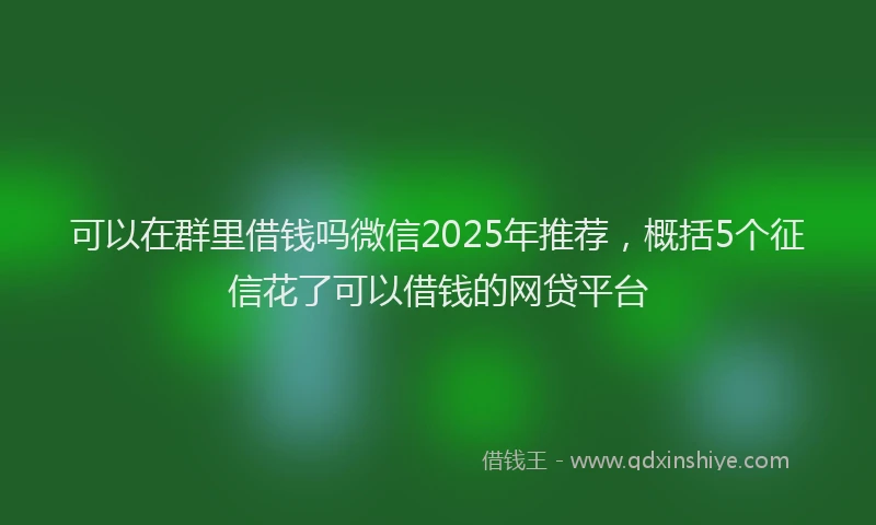 可以在群里借钱吗微信2025年推荐，概括5个征信花了可以借钱的网贷平台