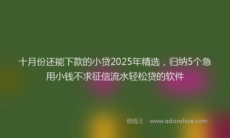十月份还能下款的小贷2025年精选，归纳5个急用小钱不求征信流水轻松贷的软件
