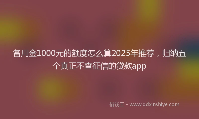 备用金1000元的额度怎么算2025年推荐，归纳五个真正不查征信的贷款app