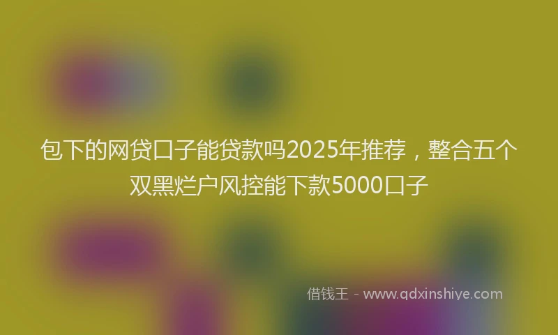 包下的网贷口子能贷款吗2025年推荐，整合五个双黑烂户风控能下款5000口子