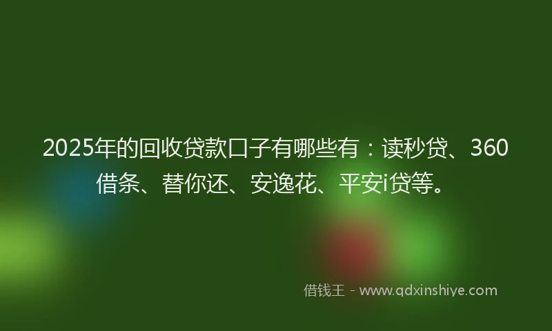 2025年的回收贷款口子有哪些有：读秒贷、360借条、替你还、安逸花、平安i贷等。