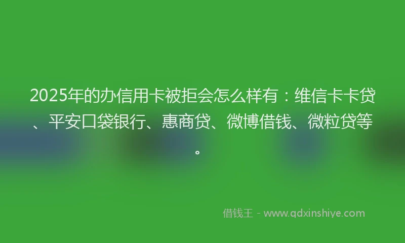 2025年的办信用卡被拒会怎么样有：维信卡卡贷、平安口袋银行、惠商贷、微博借钱、微粒贷等。
