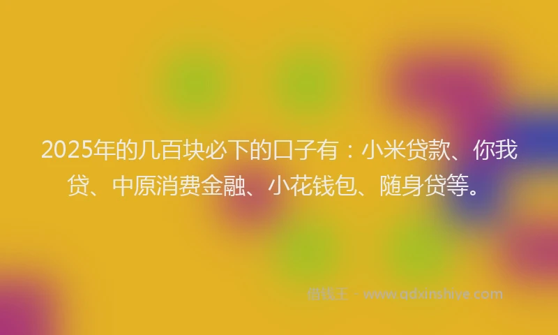 2025年的几百块必下的口子有：小米贷款、你我贷、中原消费金融、小花钱包、随身贷等。