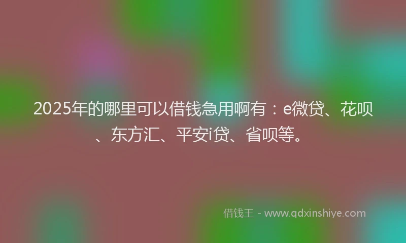 2025年的哪里可以借钱急用啊有：e微贷、花呗、东方汇、平安i贷、省呗等。