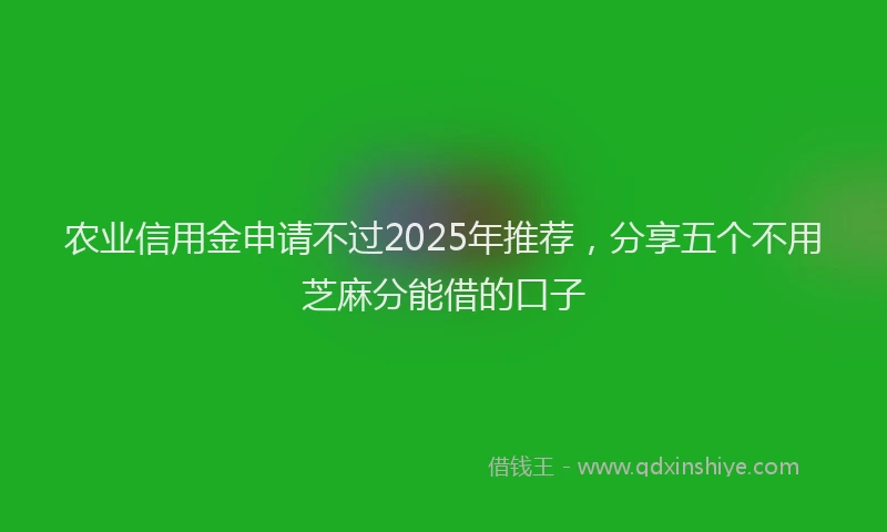 农业信用金申请不过2025年推荐，分享五个不用芝麻分能借的口子