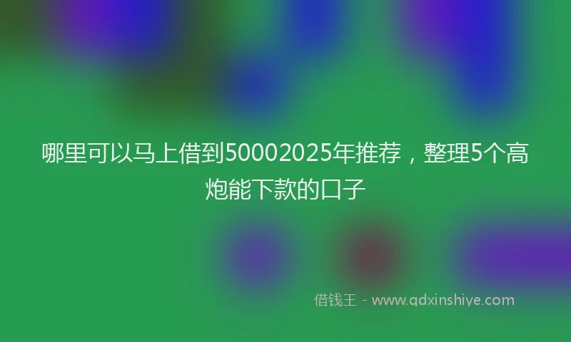 哪里可以马上借到50002025年推荐，整理5个高炮能下款的口子