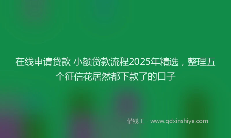 在线申请贷款 小额贷款流程2025年精选，整理五个征信花居然都下款了的口子