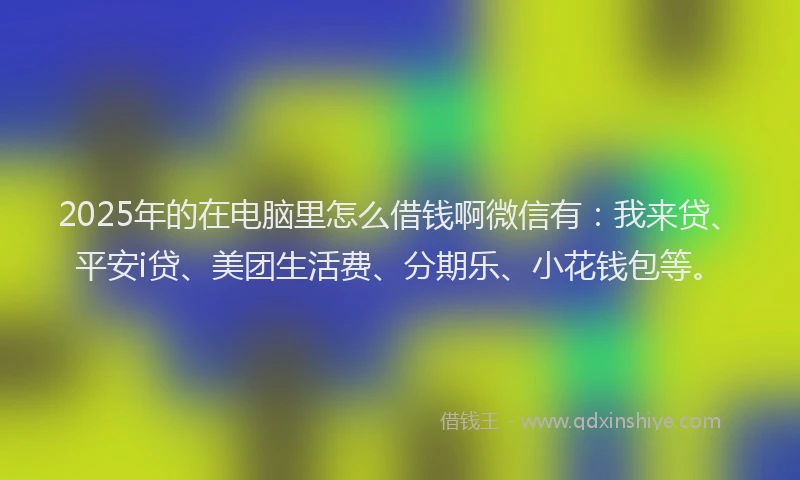 2025年的在电脑里怎么借钱啊微信有：我来贷、平安i贷、美团生活费、分期乐、小花钱包等。