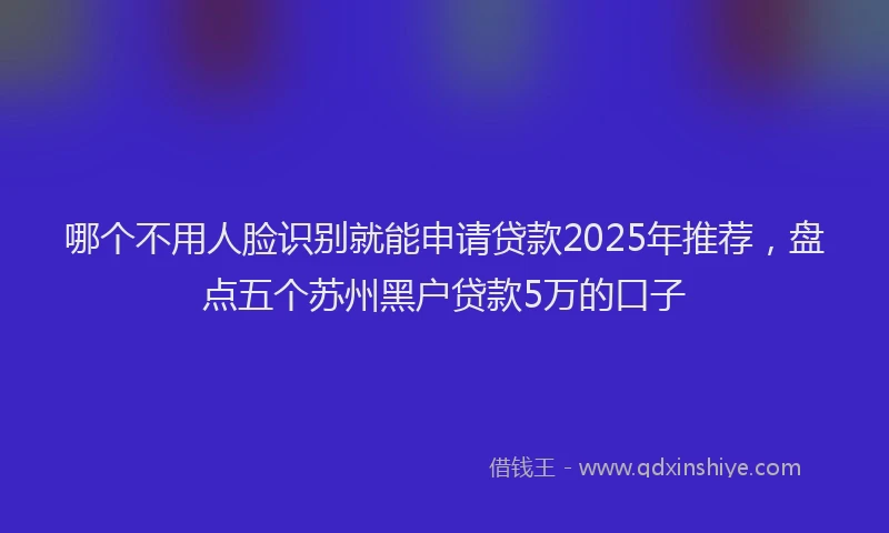 哪个不用人脸识别就能申请贷款2025年推荐，盘点五个苏州黑户贷款5万的口子