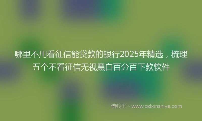 哪里不用看征信能贷款的银行2025年精选，梳理五个不看征信无视黑白百分百下款软件