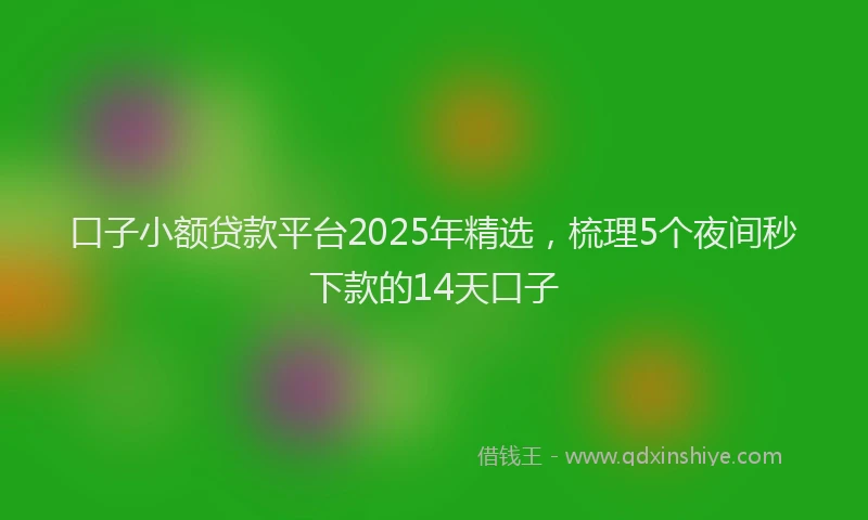 口子小额贷款平台2025年精选，梳理5个夜间秒下款的14天口子
