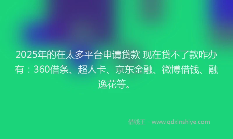 2025年的在太多平台申请贷款 现在贷不了款咋办有：360借条、超人卡、京东金融、微博借钱、融逸花等。