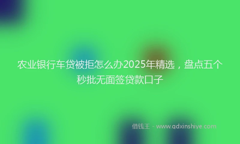 农业银行车贷被拒怎么办2025年精选，盘点五个秒批无面签贷款口子