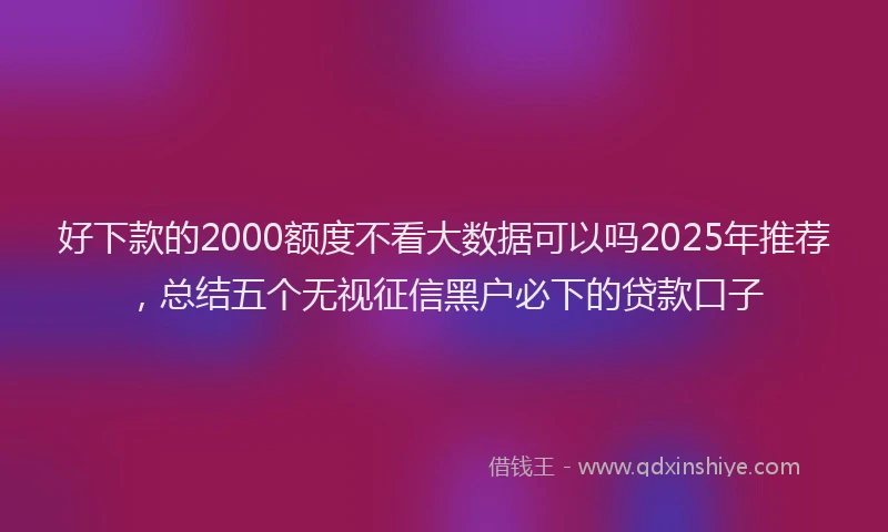 好下款的2000额度不看大数据可以吗2025年推荐，总结五个无视征信黑户必下的贷款口子