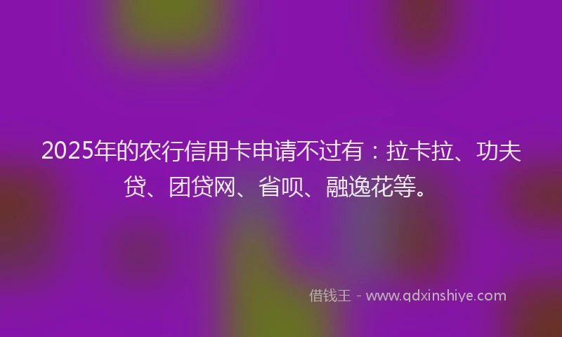 2025年的农行信用卡申请不过有：拉卡拉、功夫贷、团贷网、省呗、融逸花等。