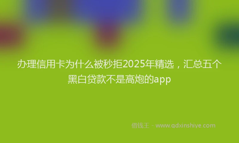 办理信用卡为什么被秒拒2025年精选，汇总五个黑白贷款不是高炮的app