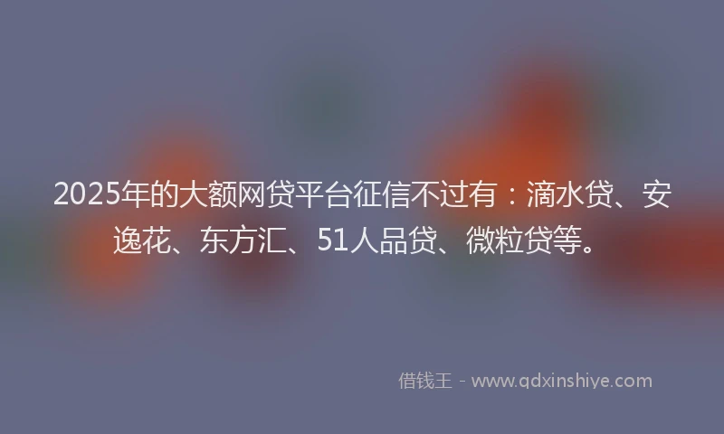 2025年的大额网贷平台征信不过有：滴水贷、安逸花、东方汇、51人品贷、微粒贷等。