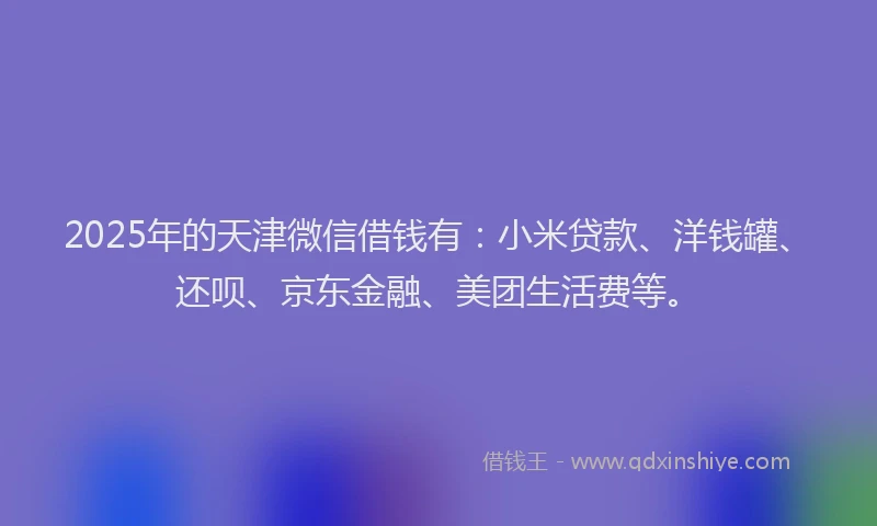2025年的天津微信借钱有：小米贷款、洋钱罐、还呗、京东金融、美团生活费等。