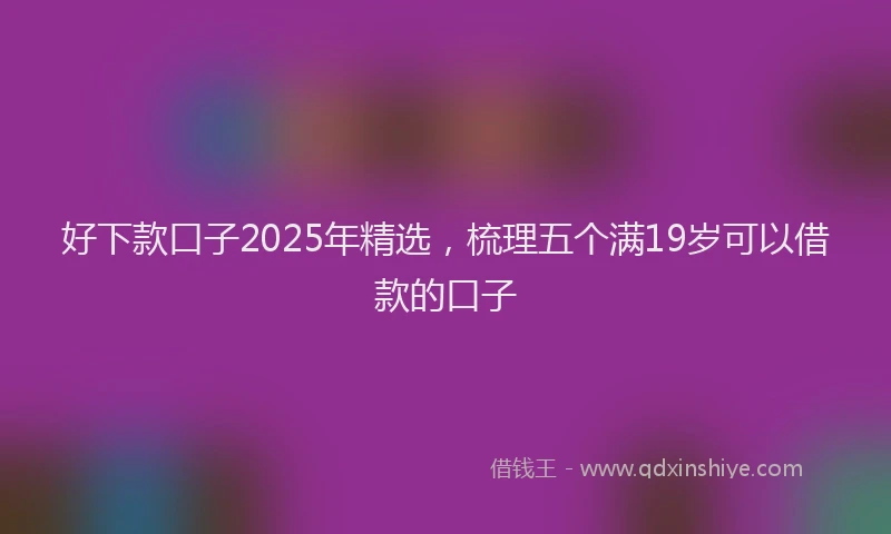 好下款口子2025年精选，梳理五个满19岁可以借款的口子