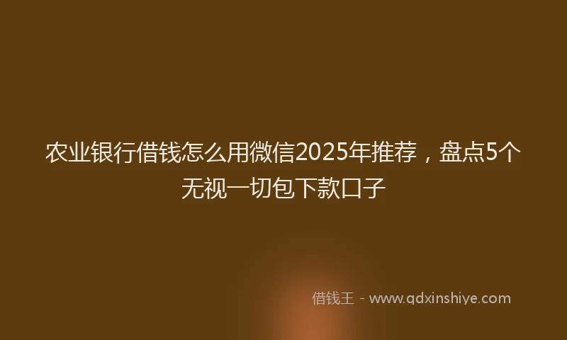 农业银行借钱怎么用微信2025年推荐，盘点5个无视一切包下款口子