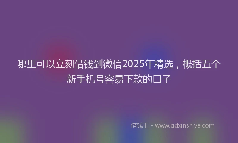 哪里可以立刻借钱到微信2025年精选，概括五个新手机号容易下款的口子