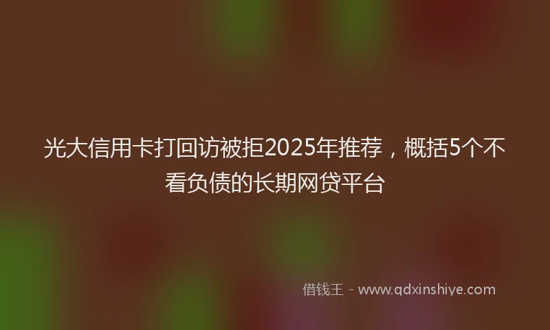光大信用卡打回访被拒2025年推荐，概括5个不看负债的长期网贷平台