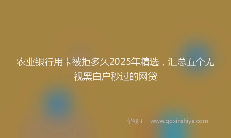 农业银行用卡被拒多久2025年精选，汇总五个无视黑白户秒过的网贷