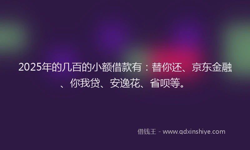 2025年的几百的小额借款有：替你还、京东金融、你我贷、安逸花、省呗等。