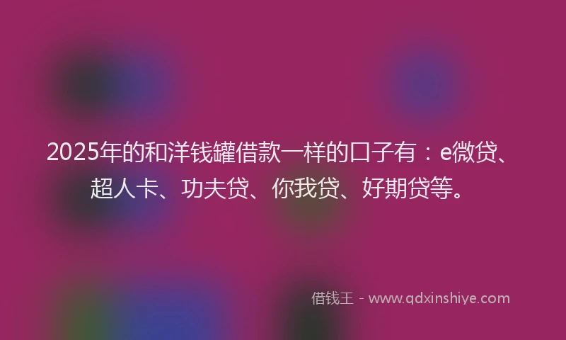 2025年的和洋钱罐借款一样的口子有：e微贷、超人卡、功夫贷、你我贷、好期贷等。