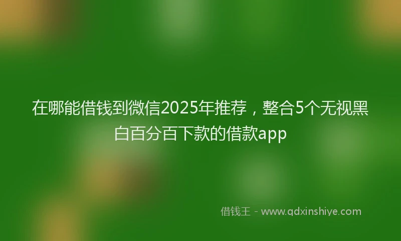 在哪能借钱到微信2025年推荐，整合5个无视黑白百分百下款的借款app