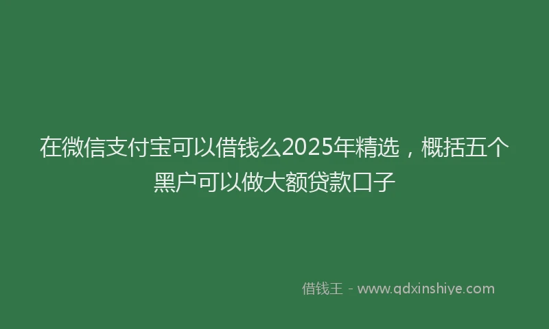在微信支付宝可以借钱么2025年精选，概括五个黑户可以做大额贷款口子