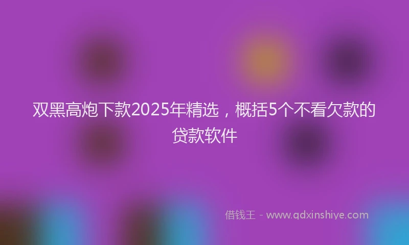 双黑高炮下款2025年精选，概括5个不看欠款的贷款软件