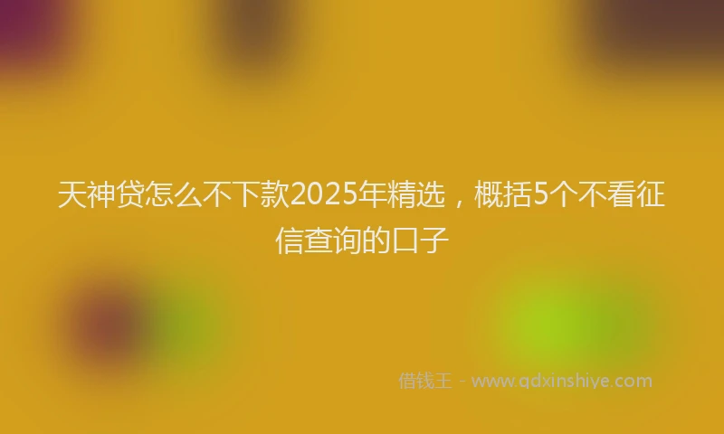 天神贷怎么不下款2025年精选，概括5个不看征信查询的口子