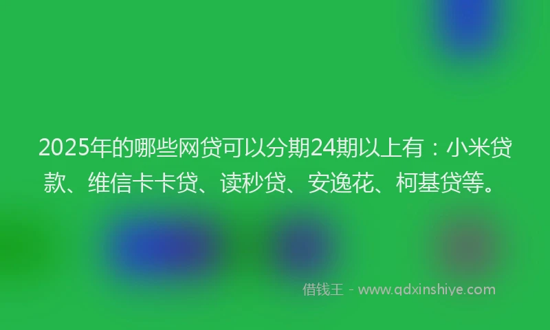 2025年的哪些网贷可以分期24期以上有：小米贷款、维信卡卡贷、读秒贷、安逸花、柯基贷等。