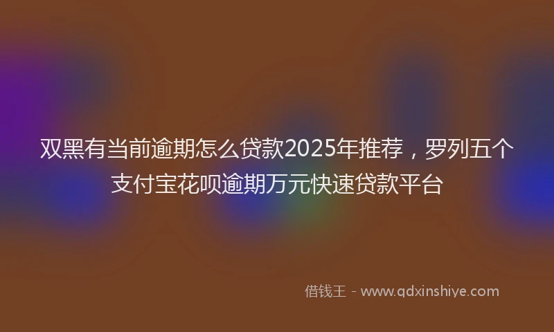 双黑有当前逾期怎么贷款2025年推荐，罗列五个支付宝花呗逾期万元快速贷款平台