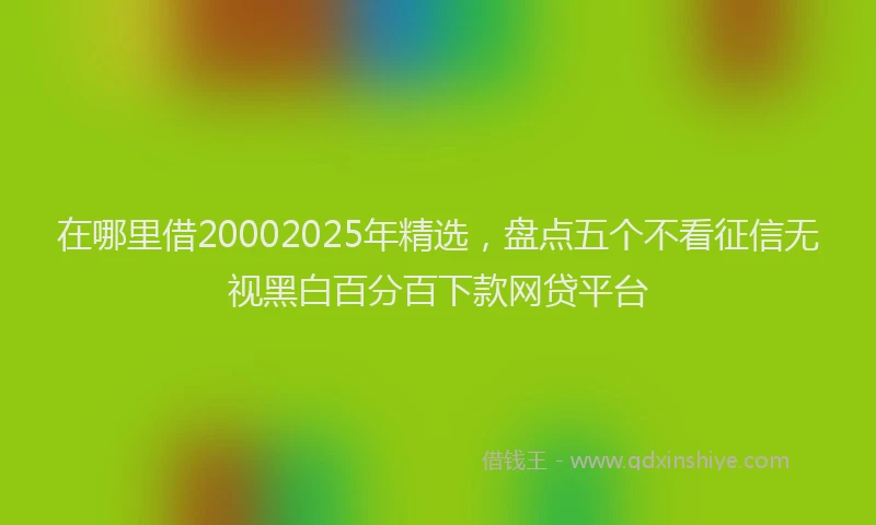 在哪里借20002025年精选，盘点五个不看征信无视黑白百分百下款网贷平台