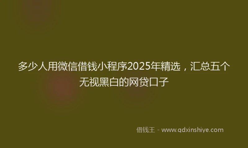 多少人用微信借钱小程序2025年精选，汇总五个无视黑白的网贷口子