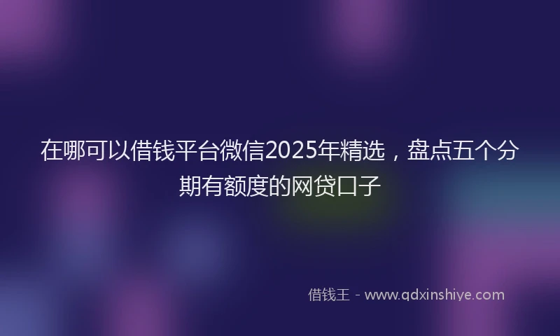 在哪可以借钱平台微信2025年精选，盘点五个分期有额度的网贷口子
