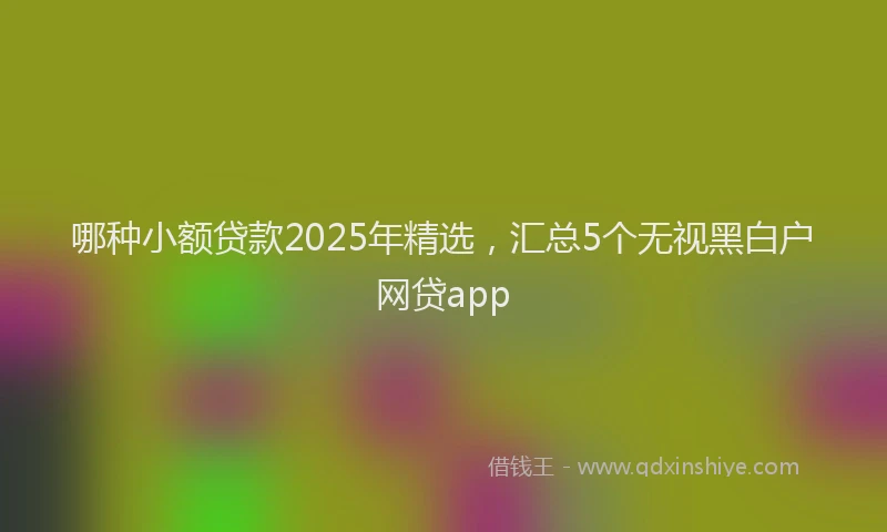 哪种小额贷款2025年精选，汇总5个无视黑白户网贷app
