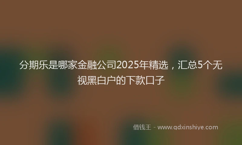 分期乐是哪家金融公司2025年精选，汇总5个无视黑白户的下款口子