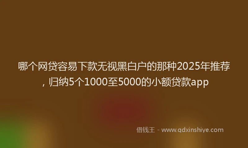 哪个网贷容易下款无视黑白户的那种2025年推荐，归纳5个1000至5000的小额贷款app