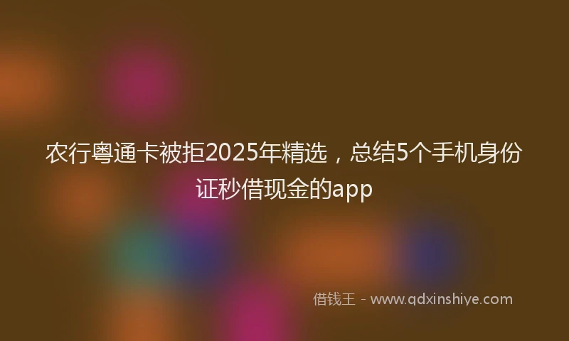 农行粤通卡被拒2025年精选，总结5个手机身份证秒借现金的app