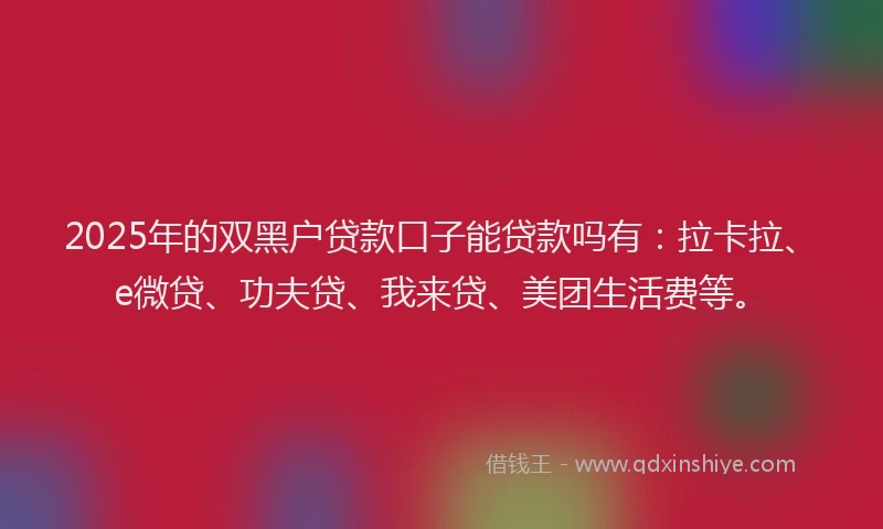 2025年的双黑户贷款口子能贷款吗有：拉卡拉、e微贷、功夫贷、我来贷、美团生活费等。